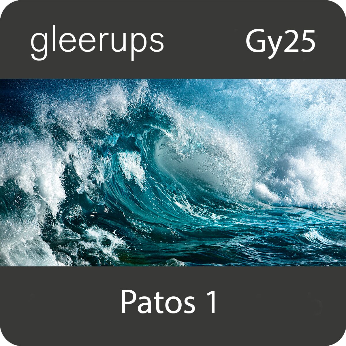 Gleerups Utbildning AB Patos svenska 1, digitalt läromedel, elev, Gy25