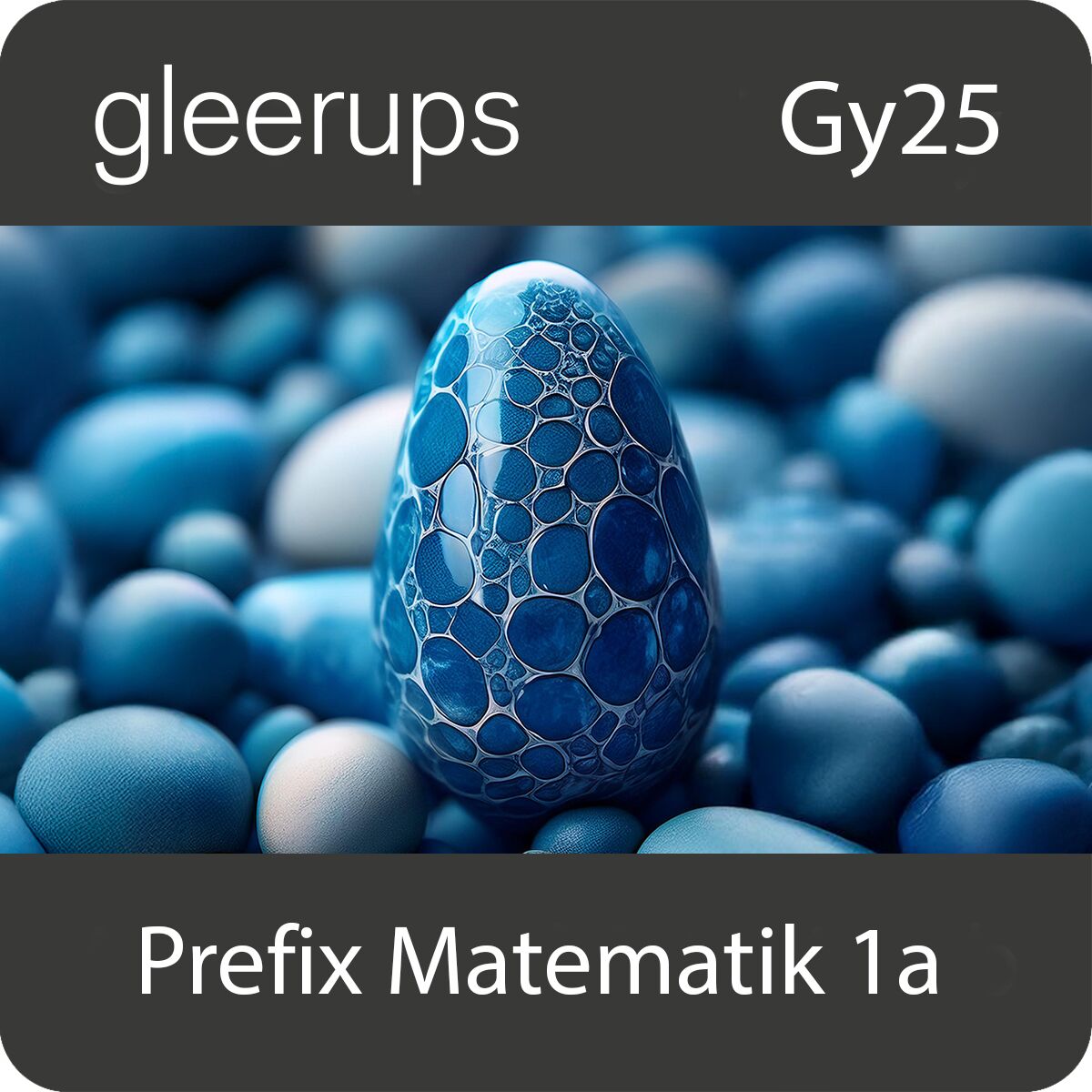 Gleerups Utbildning AB Prefix matematik 1a, digitalt läromedel, elev, Gy25