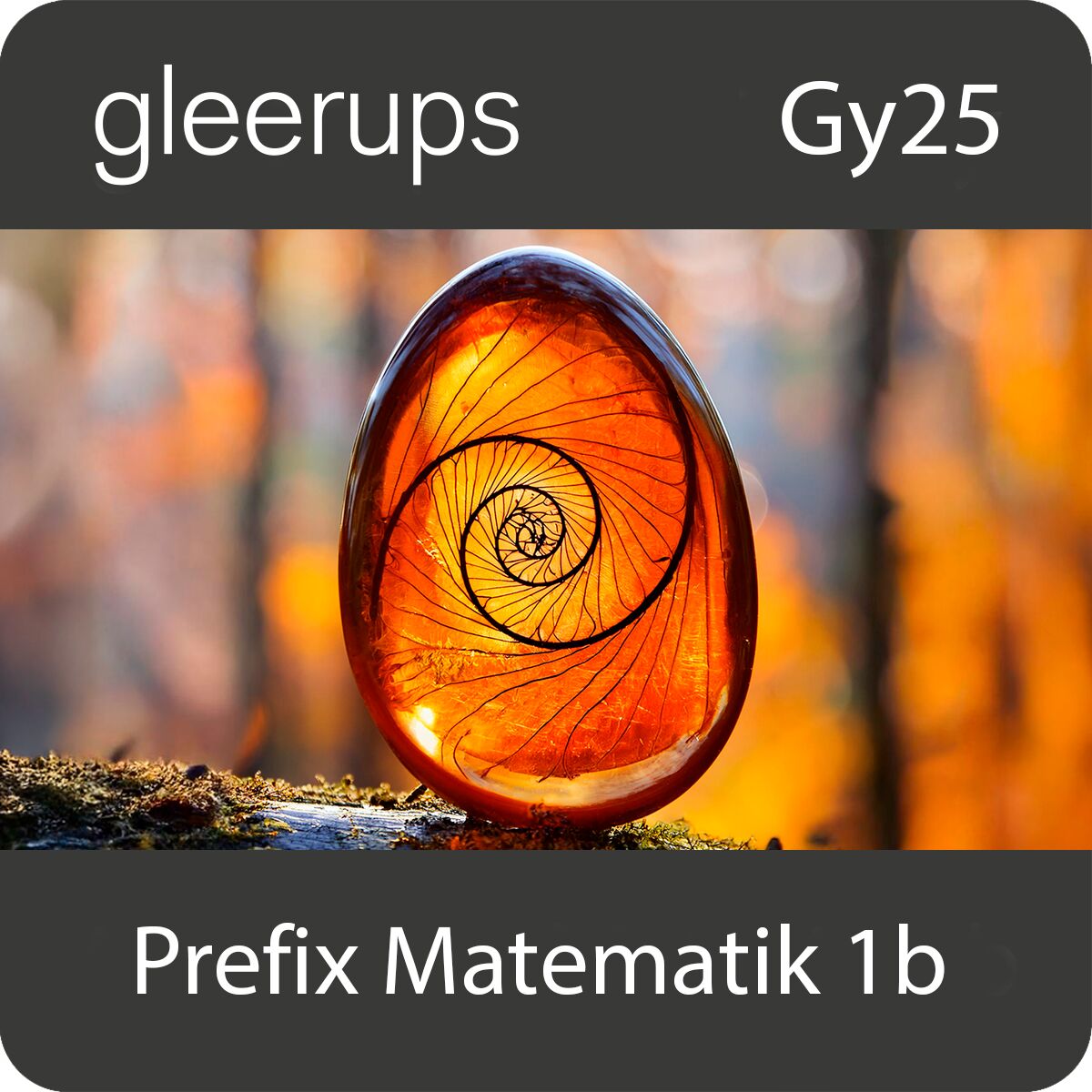Gleerups Utbildning AB Prefix matematik 1b, digitalt läromedel, elev, Gy25