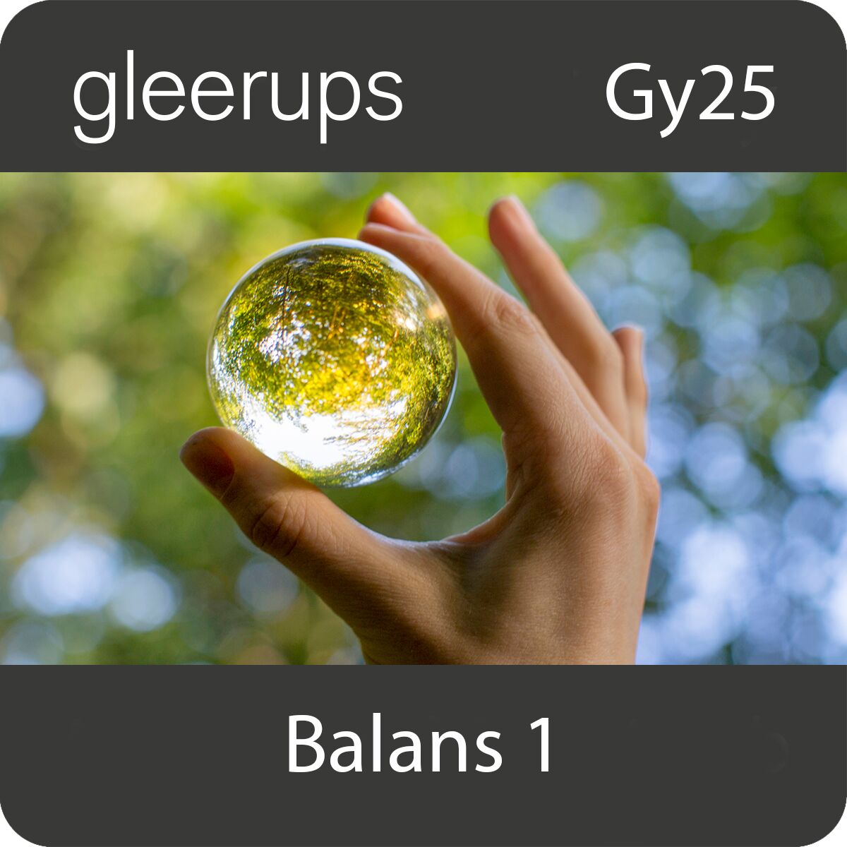 Gleerups Utbildning AB Balans 1, digitalt läromedel, elev, Gy25