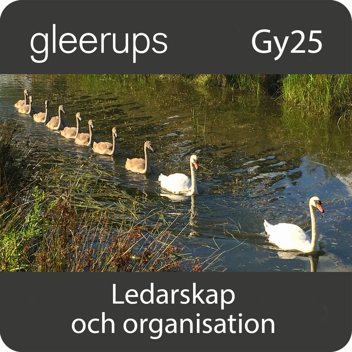 Gleerups Utbildning AB Ledarskap och organisation, digitalt läromedel, elev, Gy25