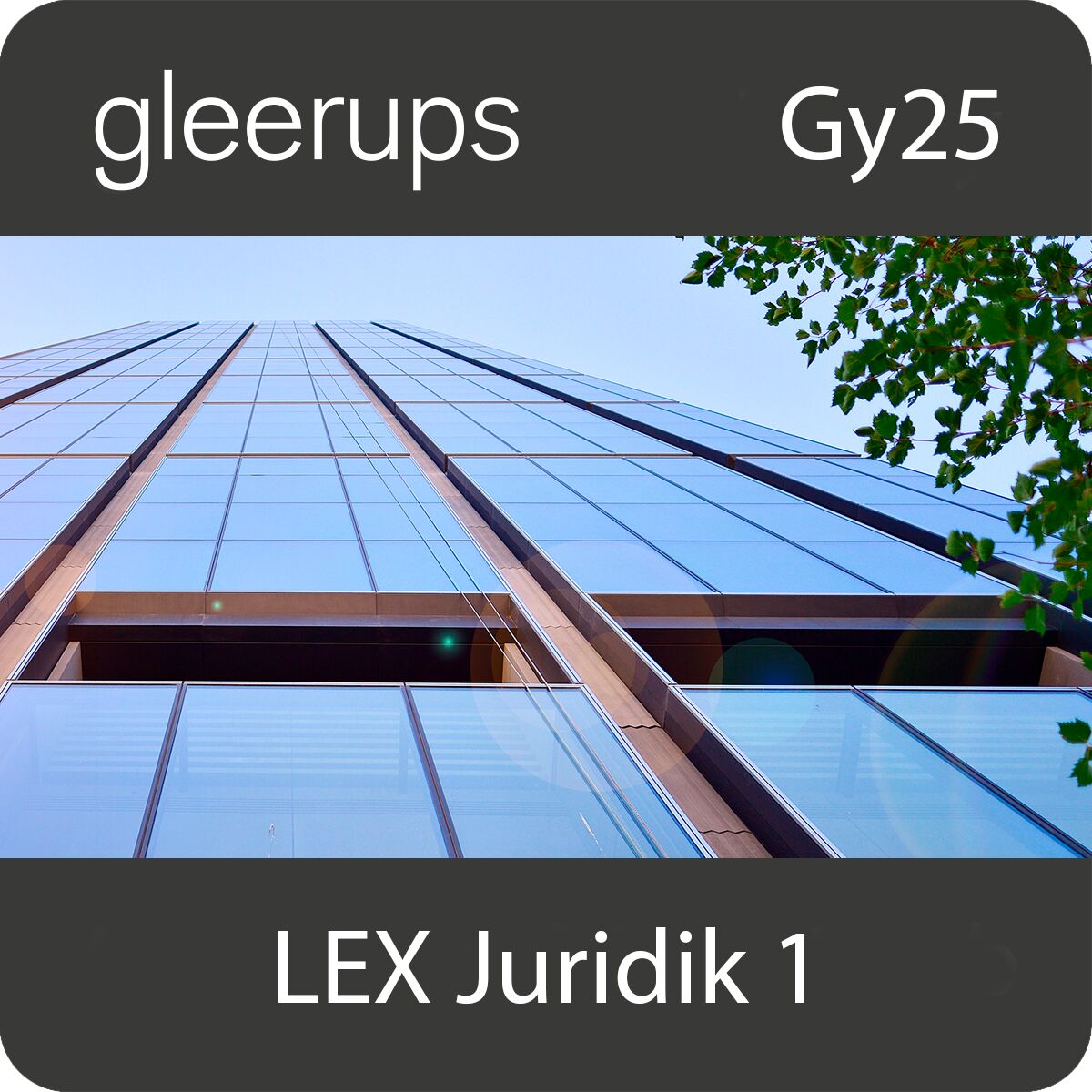 Gleerups Utbildning AB LEX Juridik 1, digitalt läromedel, lärare, Gy25