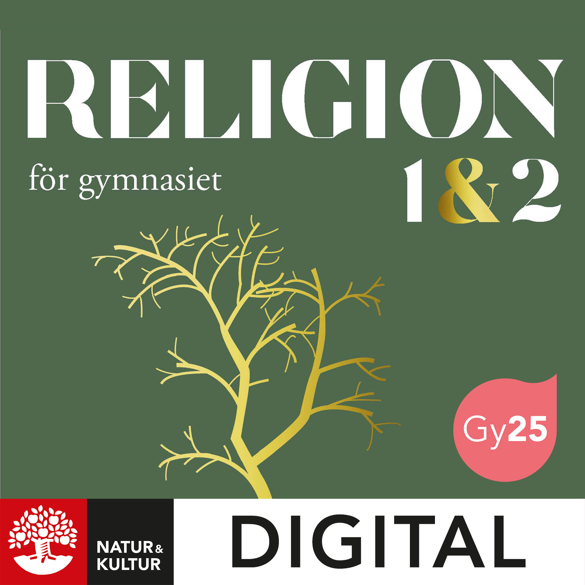 Natur & Kultur Digital Religion för gymnasiet nivå 1&2 Digital