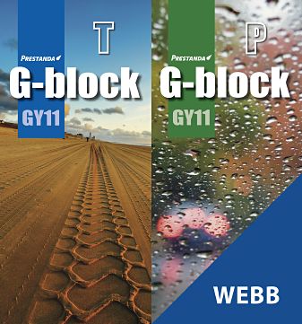 Gleerups Utbildning AB FT-Test G-block, webb, elev
