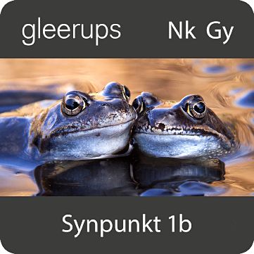 Gleerups Utbildning AB Synpunkt 1b, digitalt läromedel, lärare