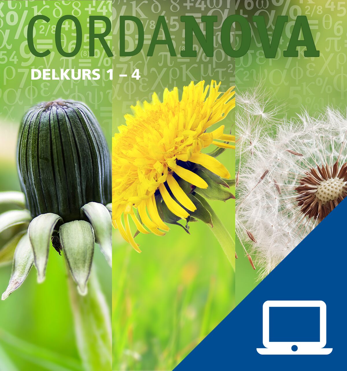 Gleerups Utbildning AB CordaNova delkurs 1-4, digitalt läromedel, elevträning
