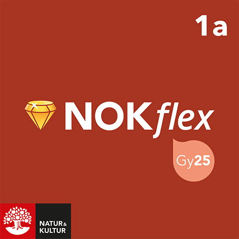 Natur & Kultur Digital NOKflex Matematik Nivå 1a Röd