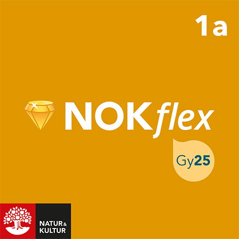 Natur & Kultur Digital NOKflex Matematik Nivå 1a Gul