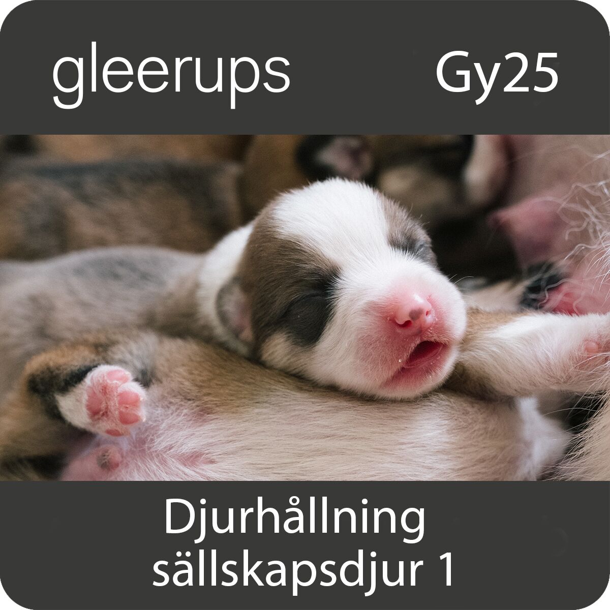 Gleerups Utbildning AB BokGym Djurhållning - sällskapsdjur 1, digitalt läromedel, elev, Gy25