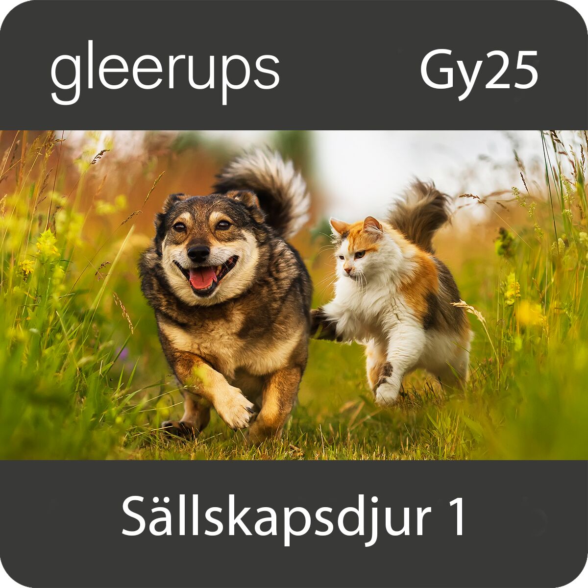 Gleerups Utbildning AB BokGym Sällskapsdjur 1, digitalt, lärare, Gy25