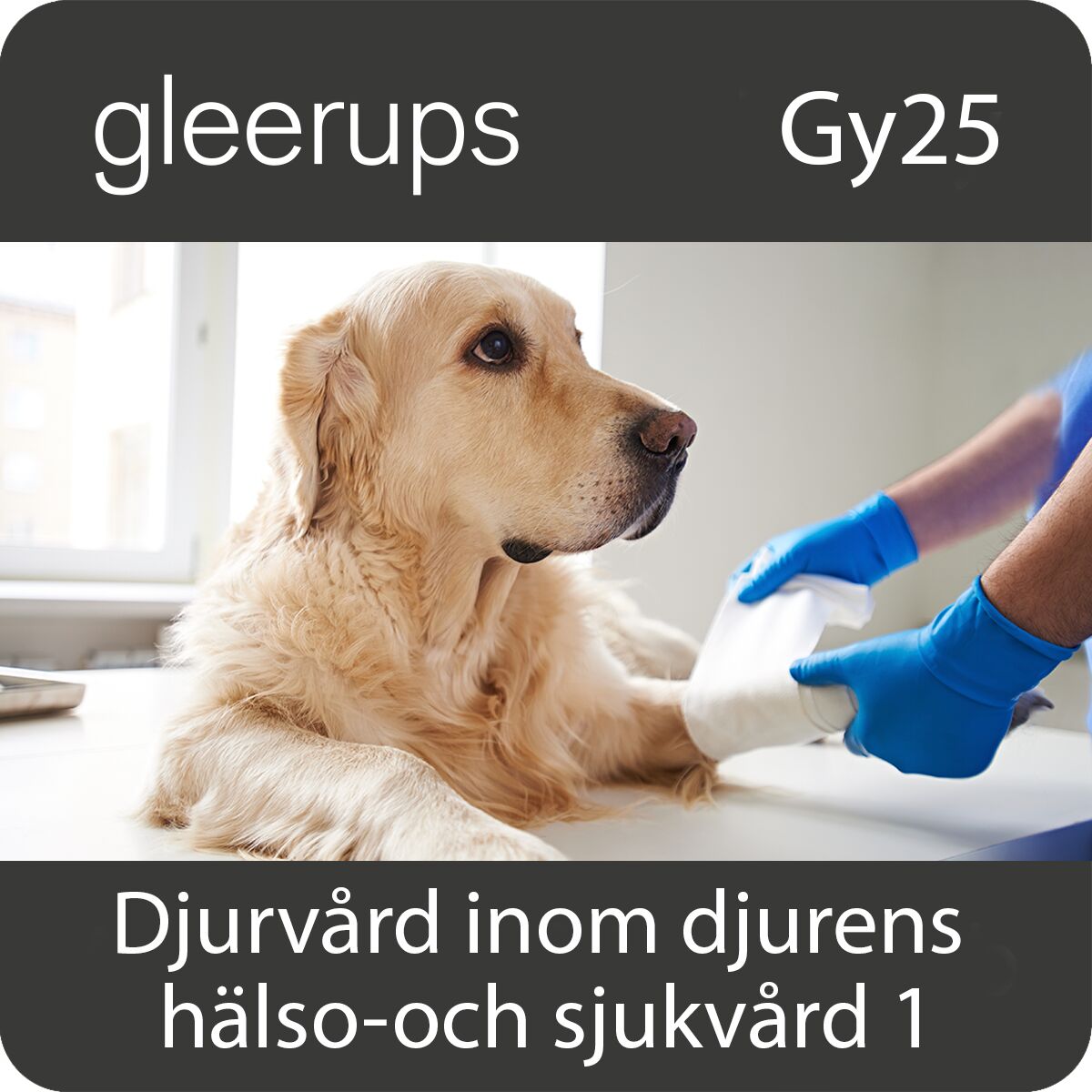 Gleerups Utbildning AB Djurvård inom djurens hälso- & sjukvård 1, digitalt läromedel lärare Gy25
