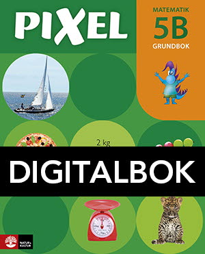 Natur & Kultur Digital Pixel 5B Grundbok Digital u ljud,