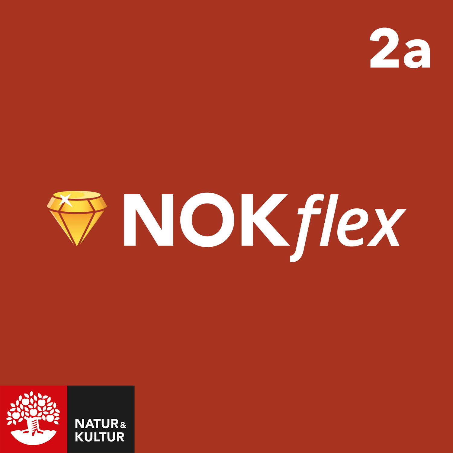 Natur & Kultur Digital NOKflex Matematik Nivå 2a (kurs 2a)