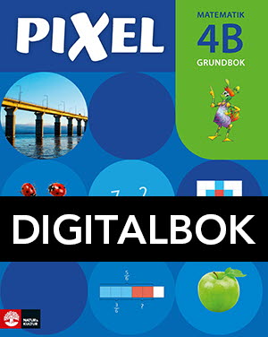 Natur & Kultur Digital Åk 4 Grundbok Digital u ljud 4B, andra upplagan