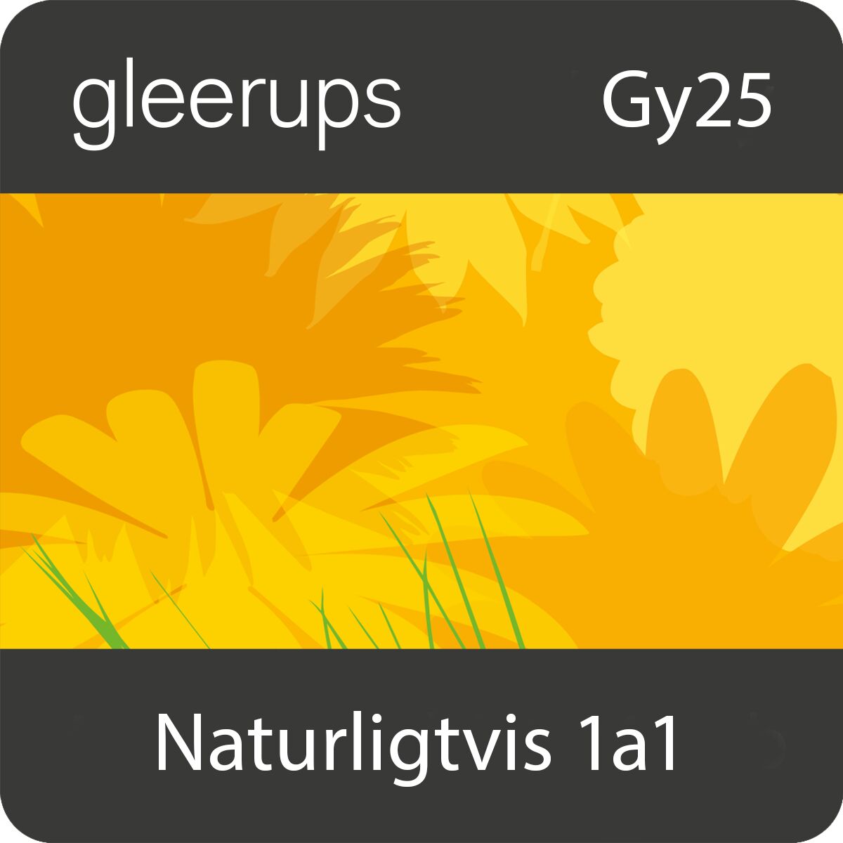 Gleerups Utbildning AB Naturligtvis Naturkunskap 1a1, digitalt läromedel, elev, Gy25