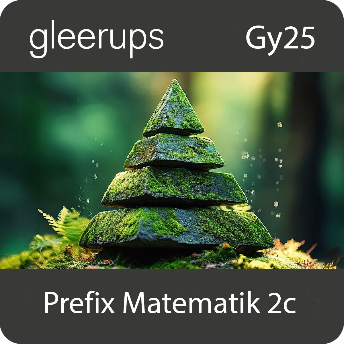 Gleerups Utbildning AB Prefix matematik 2c, digitalt, lärare, Gy25