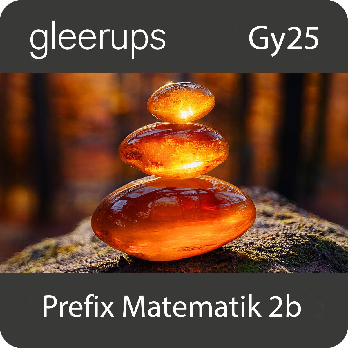 Gleerups Utbildning AB Prefix matematik 2b, digitalt, lärare, Gy25
