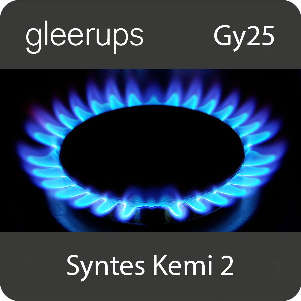 Gleerups Utbildning AB Syntes Kemi 2, digitalt läromedel, lärare, Gy25
