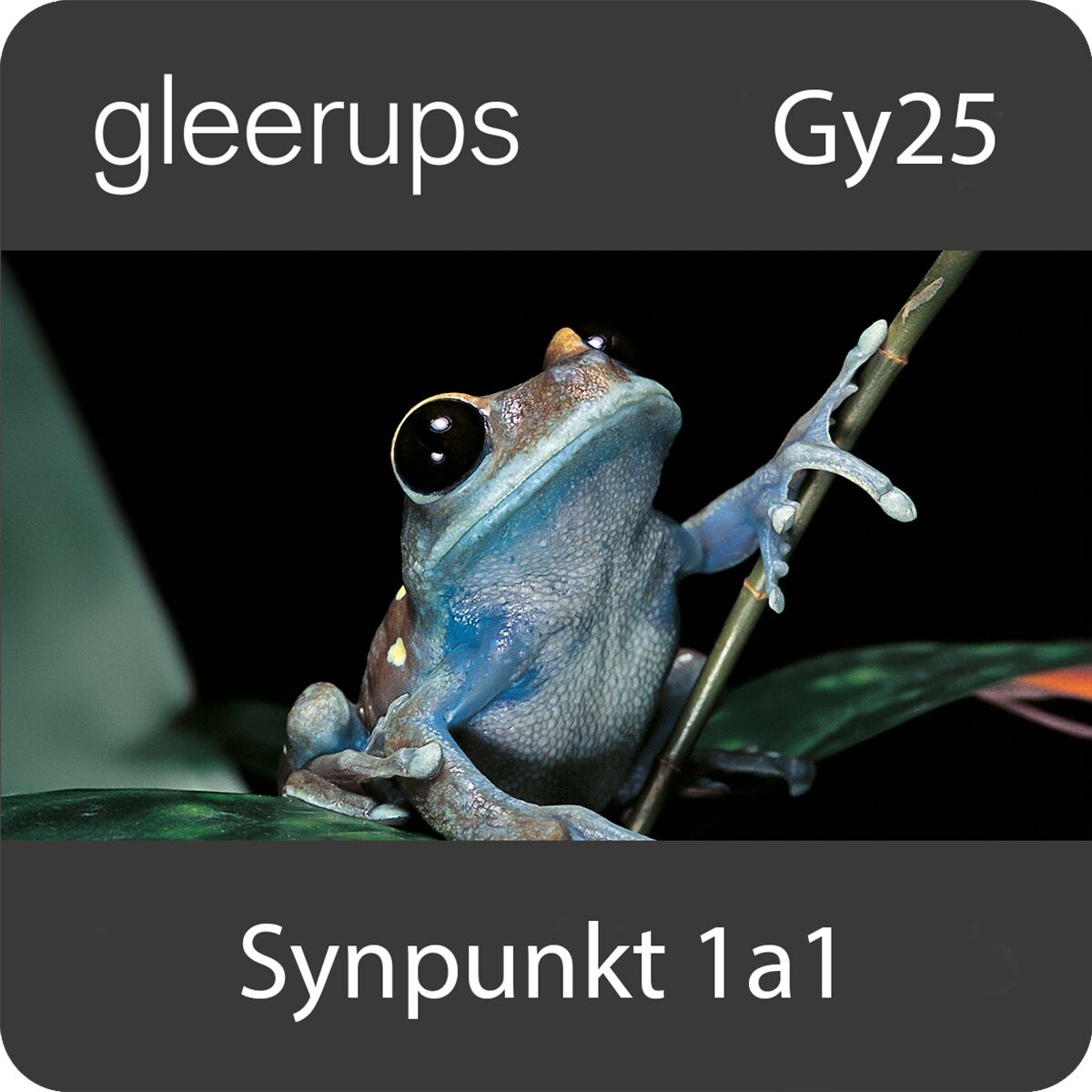 Gleerups Utbildning AB Synpunkt Naturkunskap 1a1, digitalt, lärare, Gy25