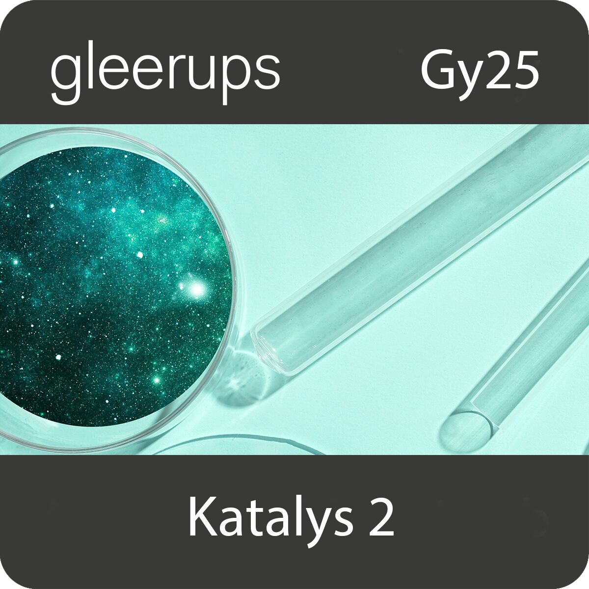 Gleerups Utbildning AB Katalys Kemi 2, digitalt läromedel, lärare, Gy25