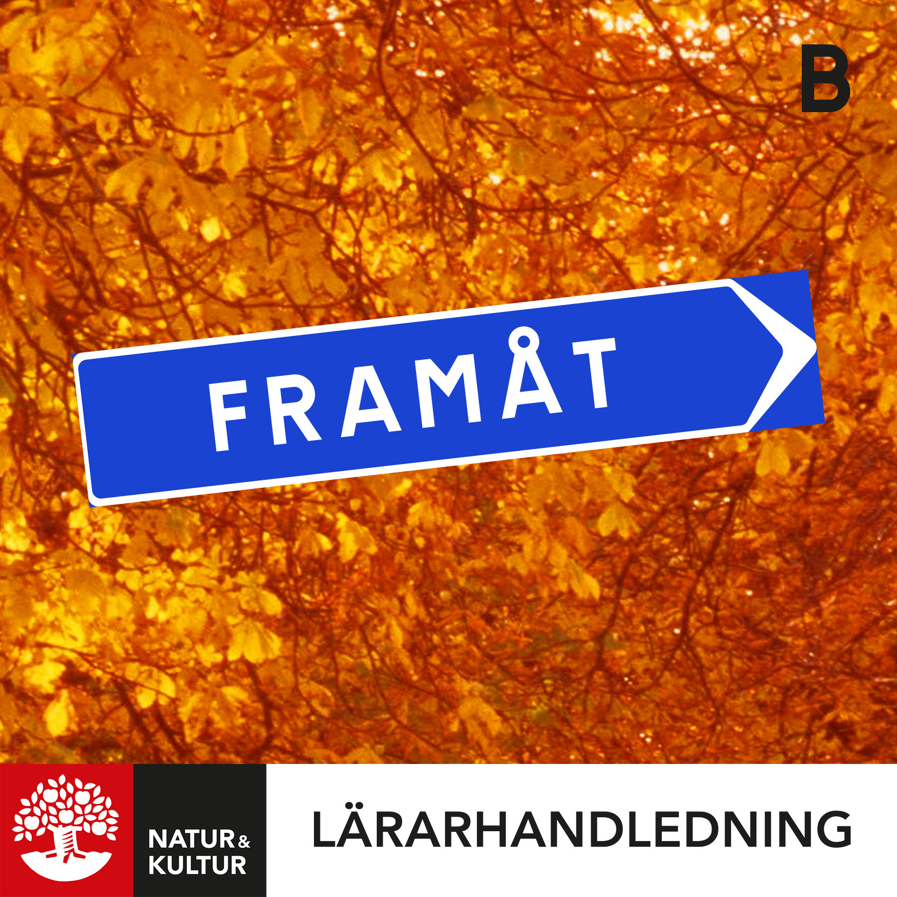 Natur & Kultur Digital Framåt B Lärarhandledning Digital, andra upplagan