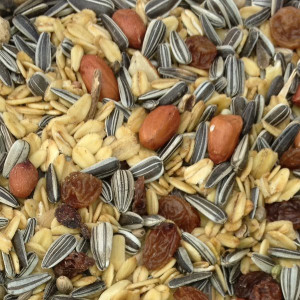 Paul's Mühle Wildvogelstreufutter Spezial 10 kg Beutel