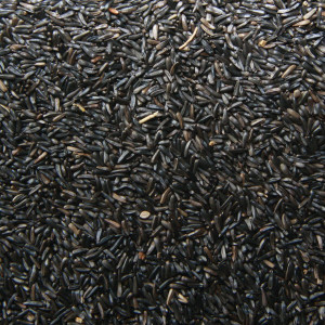 Niger-Saat 1 kg