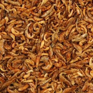Premium Bachflohkrebse Gammarus getrocknet 2,5 kg
