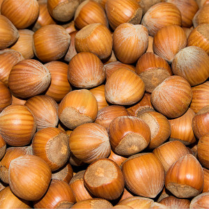 Paul's Mühle Haselnüsse 5 kg Ernte 2025 Speisequalität