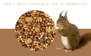 Paul´s Mühle Nuss-Symphonie für Eichhörnchen 2,5 kg