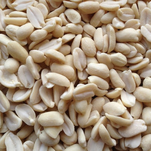 Paul's Mühle Erdnüsse weiss blanchiert ohne Haut 10 kg Premiumqualität ERNTE 2025