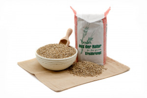 Bakery Sonnenblumenkerne geschält Speisequalität  2 x 12,5 kg (=25 kg) ERNTE 2025