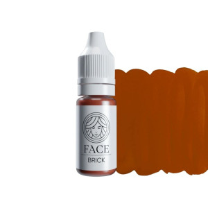 Hybrydowe pigmenty do makijażu permanentnego brwi i powiek 6ml FACE Brick