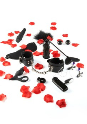 Toyjoy Amazing Pleasure Sex Toy Kit