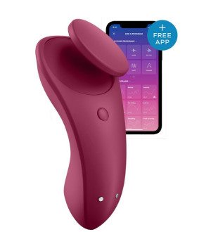 Satisfyer Sexy Secret Panty Vibrator