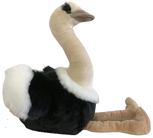 Struś DUBI - 50/34cm - pluszak, maskotka