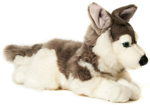 Piesek Husky Leżący - 35cm - pluszak, maskotka