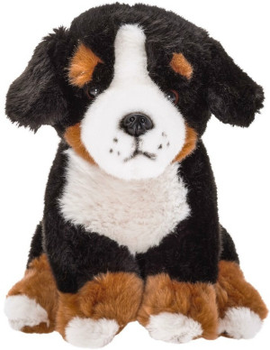 Piesek Berneński Czarny Bernardyn - 20cm - pluszak, maskotka