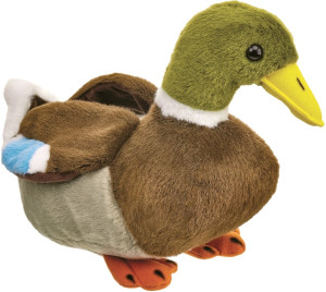 Kaczka Polska Krzyżówka - 18cm - pluszak, maskotka