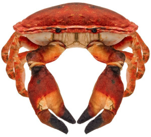 Krab słonowodny - 26cm - pluszak, maskotka