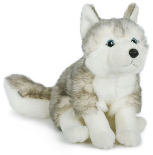 Piesek Husky Siedzący - 25cm - pluszak, maskotka