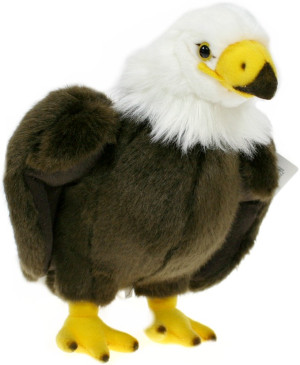 Orzeł Realistyczny - 24cm - pluszak, maskotka