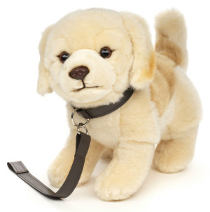 Piesek Labrador ze smyczą - 25cm - pluszak, maskotka