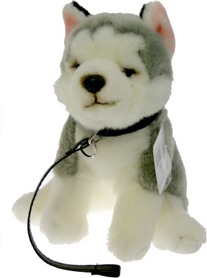 Piesek Husky na smyczy - 25cm - pluszak, maskotka