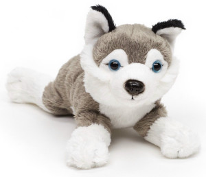 Piesek Leżący Husky - 21cm - pluszak, maskotka