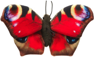 Motyl Realistyczny - 26cm - pluszak, maskotka