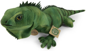 Legwan Iguana - 70cm - pluszak, maskotka
