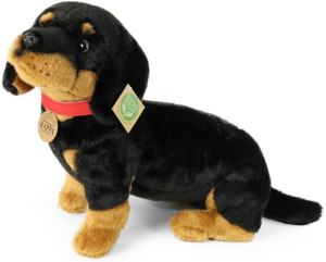 Piesek Jamnik Czarny ze smyczą - 30cm - pluszak, maskotka