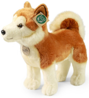 Piesek Akita Inu Stojący - 30cm - pluszak, maskotka