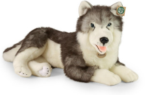 Piesek Husky Leżący Realistyczny - 60cm - pluszak, maskotka